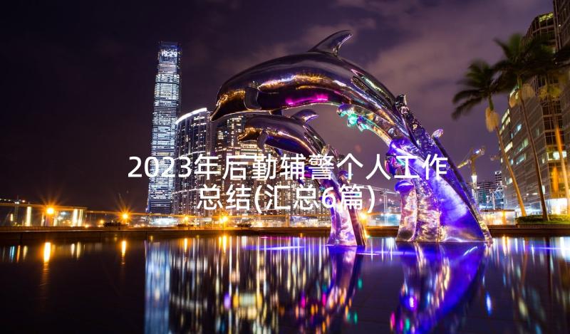 2023年后勤辅警个人工作总结(汇总6篇)