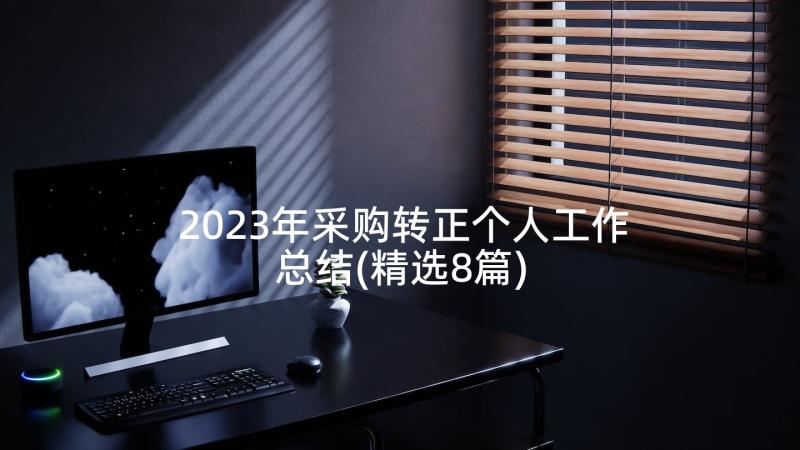 2023年采购转正个人工作总结(精选8篇)