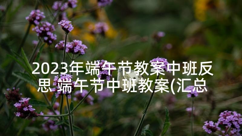 2023年端午节教案中班反思 端午节中班教案(汇总8篇)