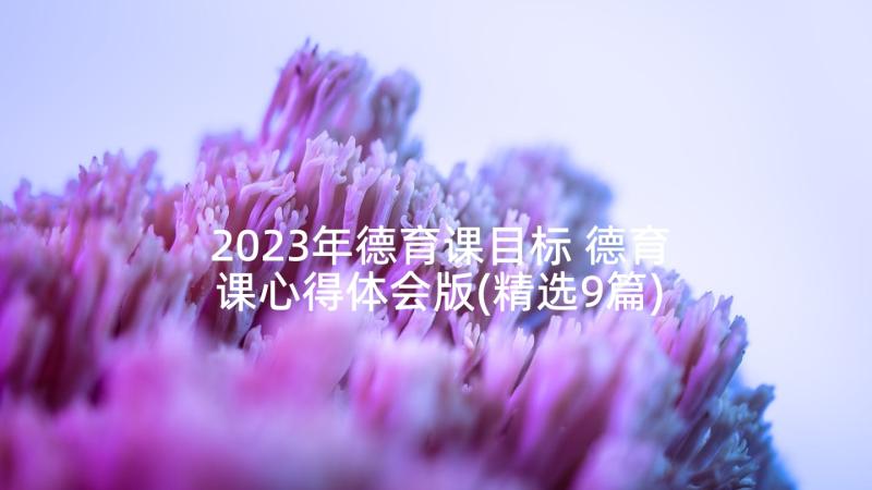 2023年德育课目标 德育课心得体会版(精选9篇)