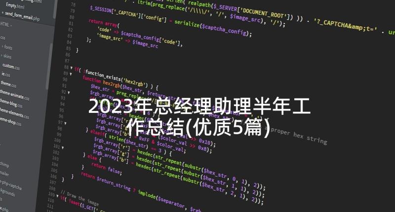 2023年总经理助理半年工作总结(优质5篇)