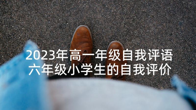 2023年高一年级自我评语 六年级小学生的自我评价(实用5篇)