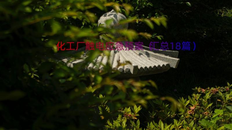 化工厂触电应急预案（汇总18篇）