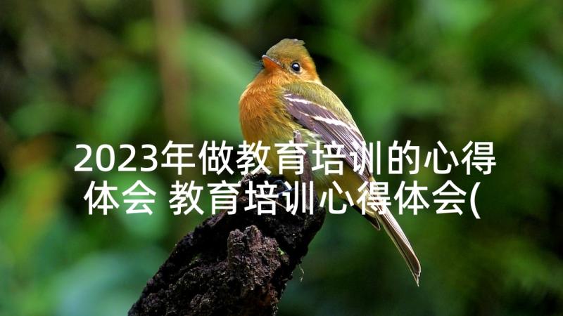 2023年做教育培训的心得体会 教育培训心得体会(通用6篇)