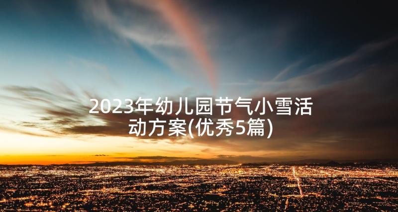 2023年幼儿园节气小雪活动方案(优秀5篇)