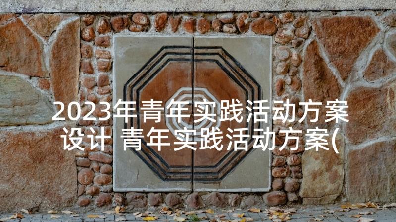 2023年青年实践活动方案设计 青年实践活动方案(优质5篇)