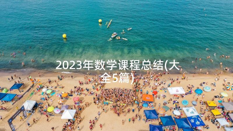 2023年数学课程总结(大全5篇)