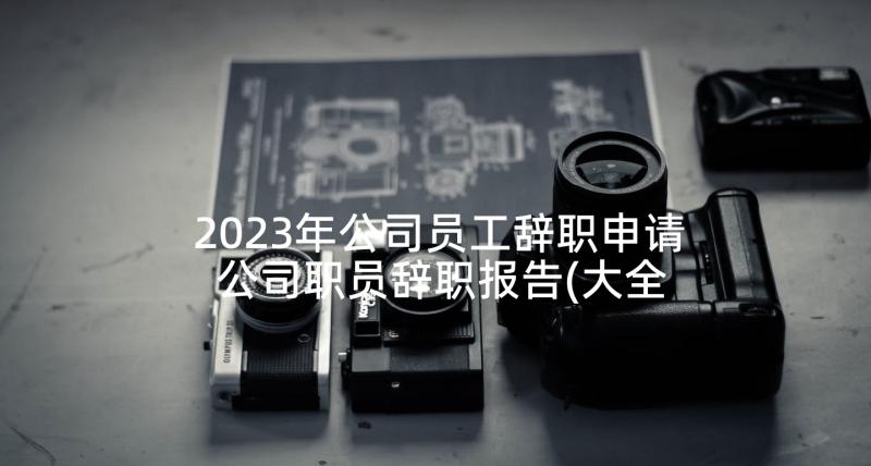 2023年公司员工辞职申请 公司职员辞职报告(大全10篇)