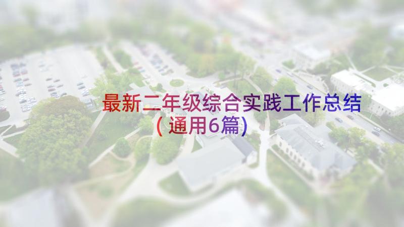 最新二年级综合实践工作总结(通用6篇)