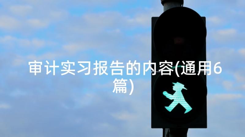 审计实习报告的内容(通用6篇)