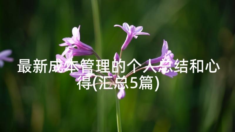 最新成本管理的个人总结和心得(汇总5篇)