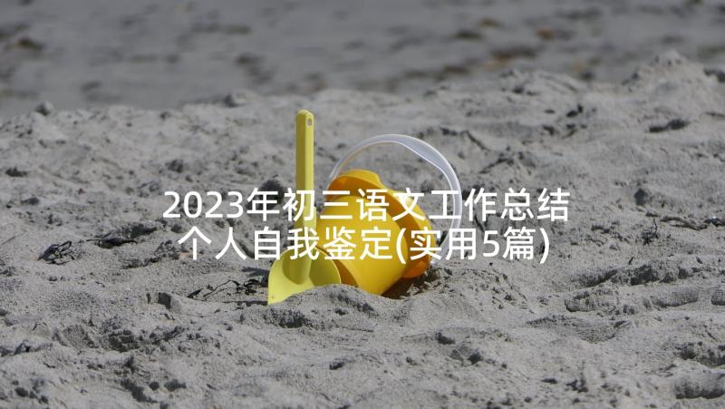 2023年初三语文工作总结个人自我鉴定(实用5篇)