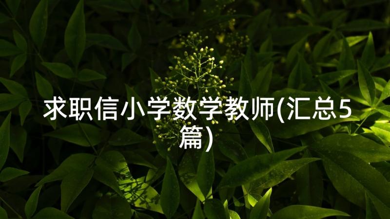 求职信小学数学教师(汇总5篇)