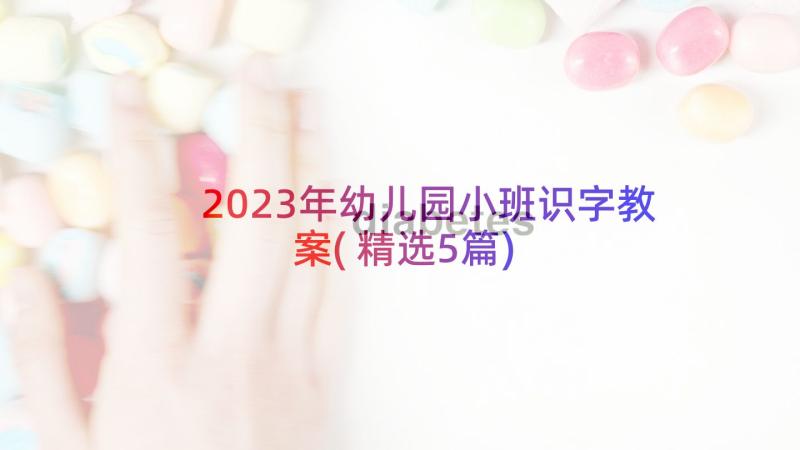 2023年幼儿园小班识字教案(精选5篇)