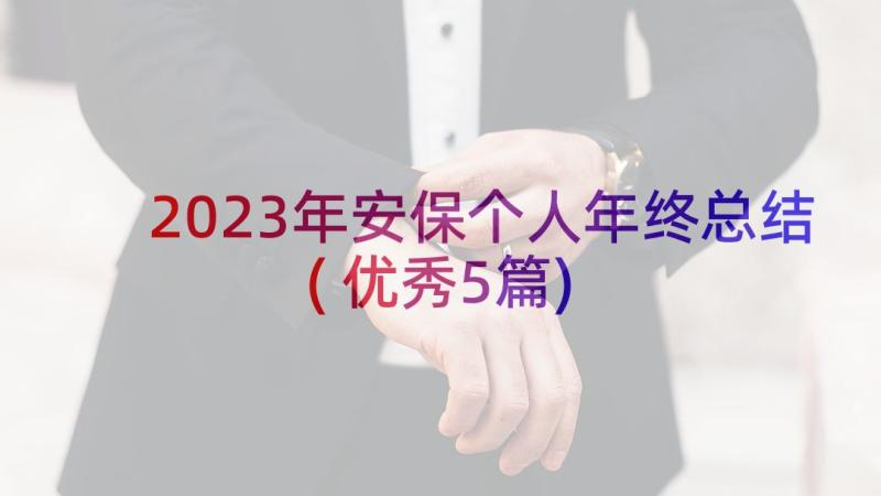 2023年安保个人年终总结(优秀5篇)