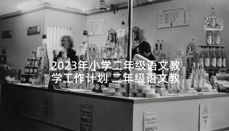 2023年小学二年级语文教学工作计划 二年级语文教学工作计划(汇总5篇)