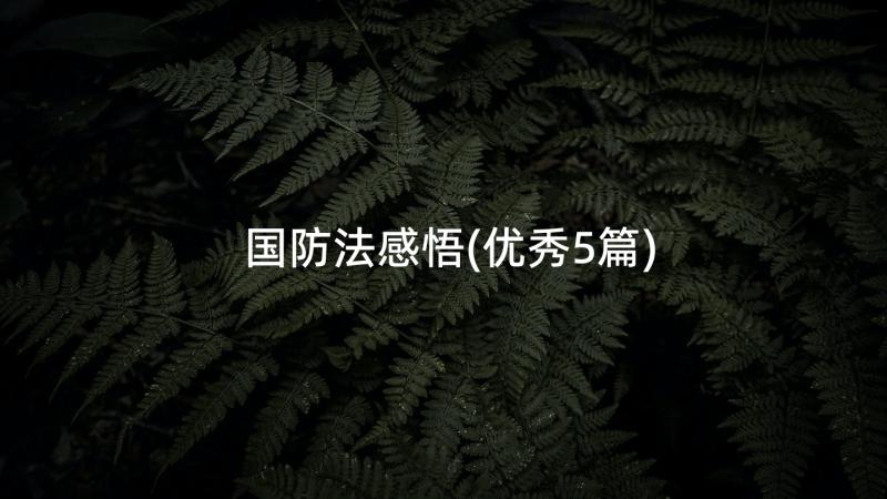 国防法感悟(优秀5篇)