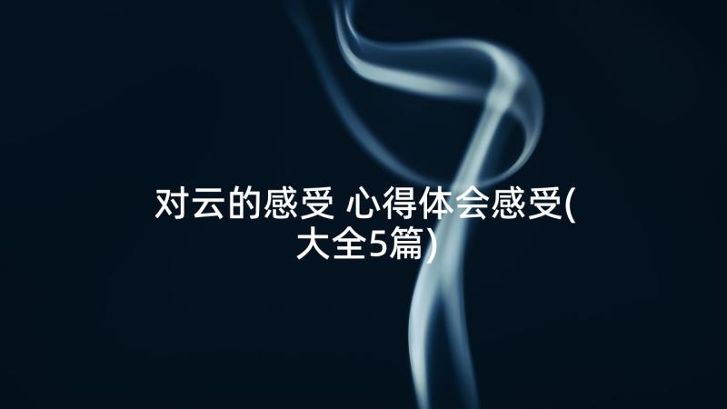 对云的感受 心得体会感受(大全5篇)