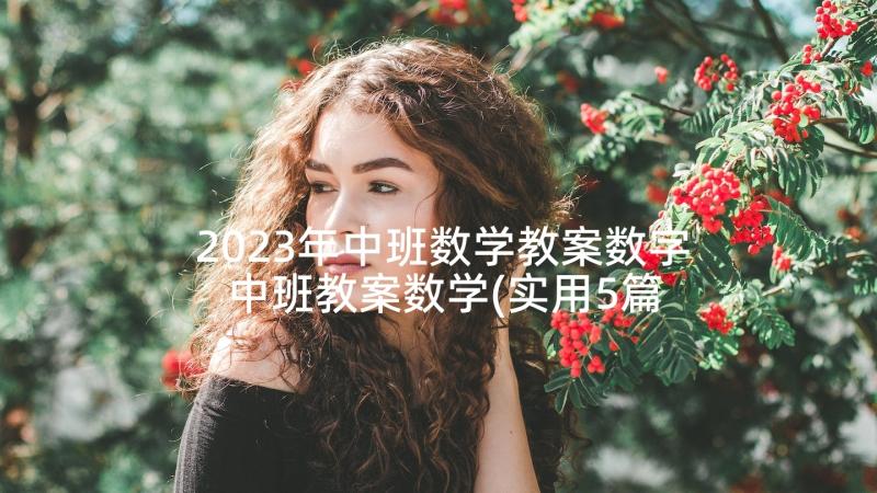 2023年中班数学教案数字 中班教案数学(实用5篇)