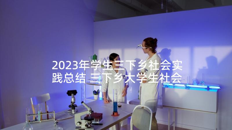 2023年学生三下乡社会实践总结 三下乡大学生社会实践心得体会(实用5篇)