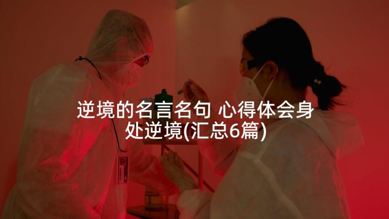 逆境的名言名句 心得体会身处逆境(汇总6篇)