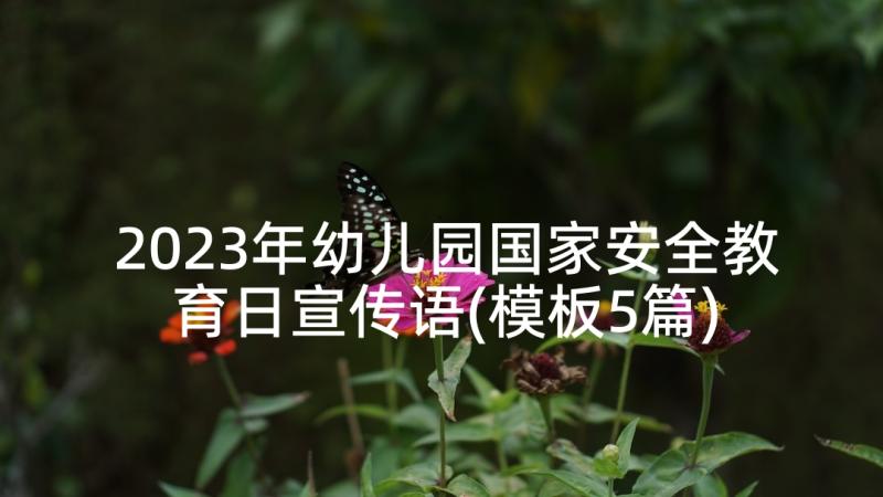 2023年幼儿园国家安全教育日宣传语(模板5篇)