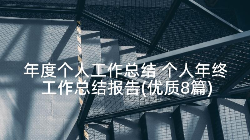 年度个人工作总结 个人年终工作总结报告(优质8篇)