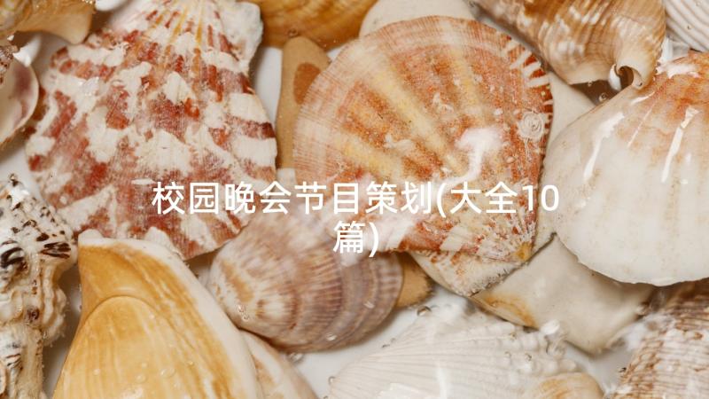 校园晚会节目策划(大全10篇)