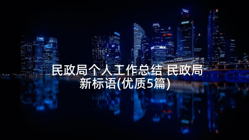 民政局个人工作总结 民政局新标语(优质5篇)