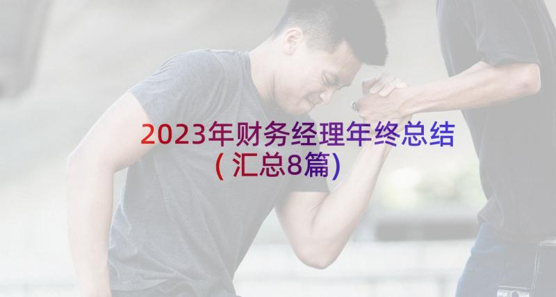 2023年财务经理年终总结(汇总8篇)