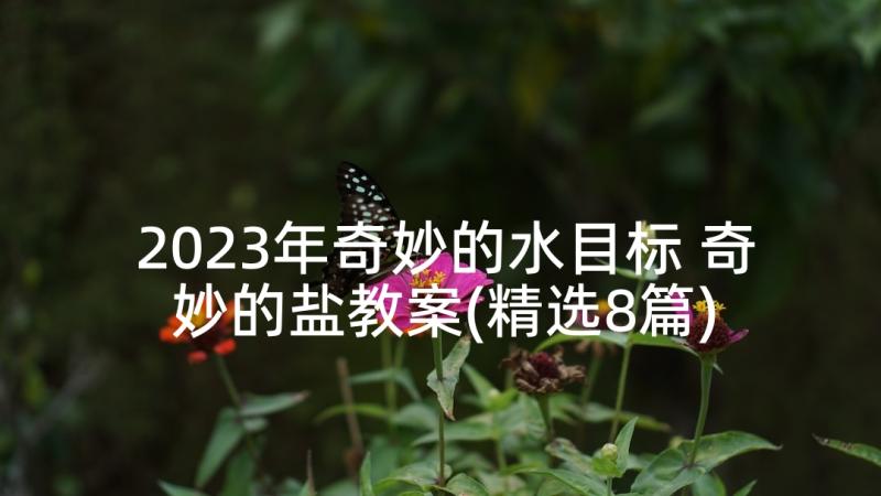 2023年奇妙的水目标 奇妙的盐教案(精选8篇)