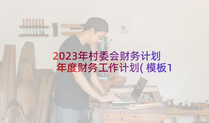 2023年村委会财务计划 年度财务工作计划(模板10篇)