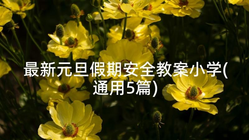 最新元旦假期安全教案小学(通用5篇)