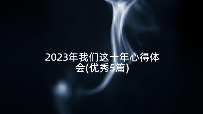 2023年我们这十年心得体会(优秀5篇)