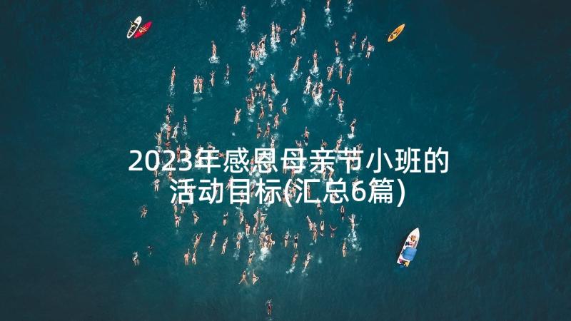 2023年感恩母亲节小班的活动目标(汇总6篇)