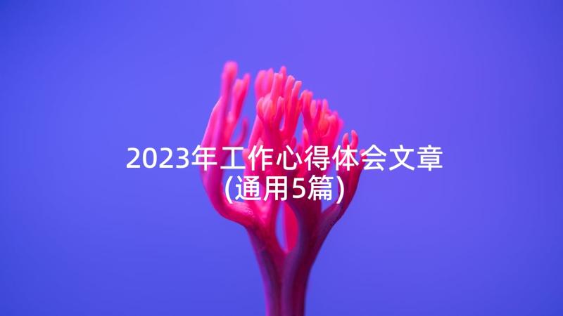 2023年工作心得体会文章(通用5篇)