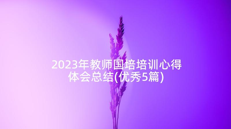 2023年教师国培培训心得体会总结(优秀5篇)