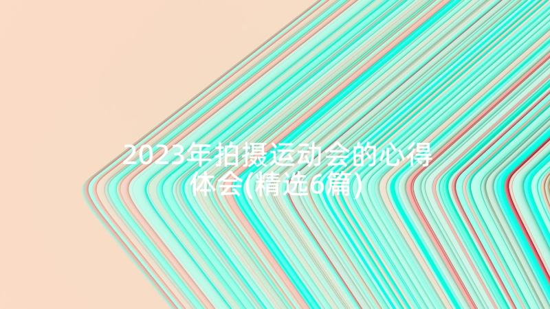 2023年拍摄运动会的心得体会(精选6篇)