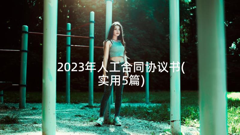 2023年人工合同协议书(实用5篇)