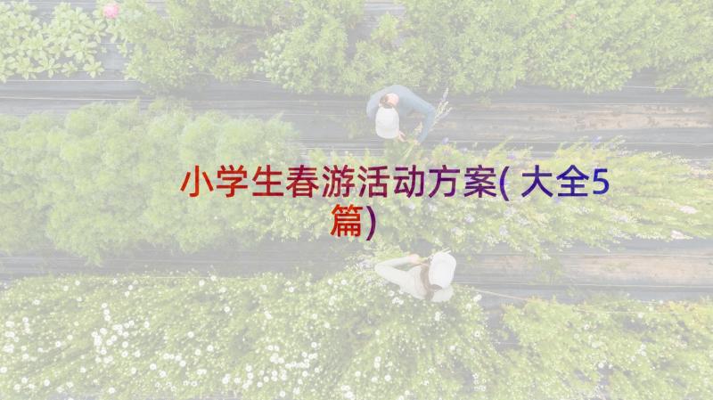 小学生春游活动方案(大全5篇)