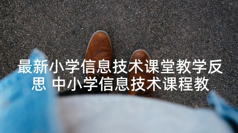 最新小学信息技术课堂教学反思 中小学信息技术课程教案(精选7篇)