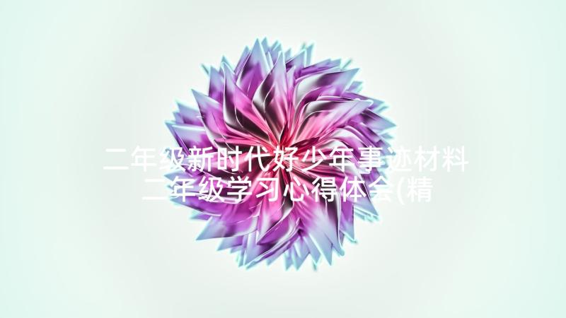 二年级新时代好少年事迹材料 二年级学习心得体会(精选6篇)