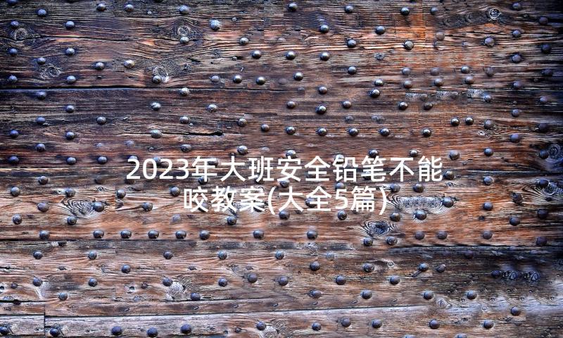 2023年大班安全铅笔不能咬教案(大全5篇)