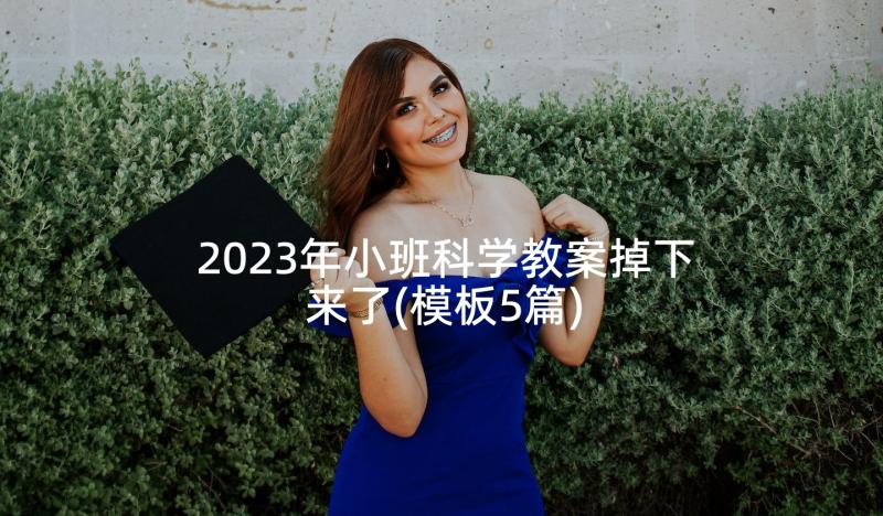 2023年小班科学教案掉下来了(模板5篇)