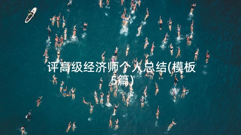 评高级经济师个人总结(模板5篇)