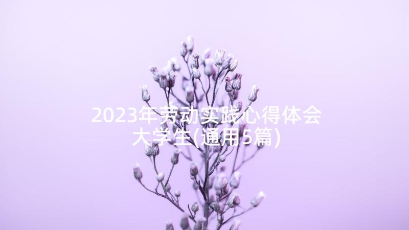 2023年劳动实践心得体会大学生(通用5篇)