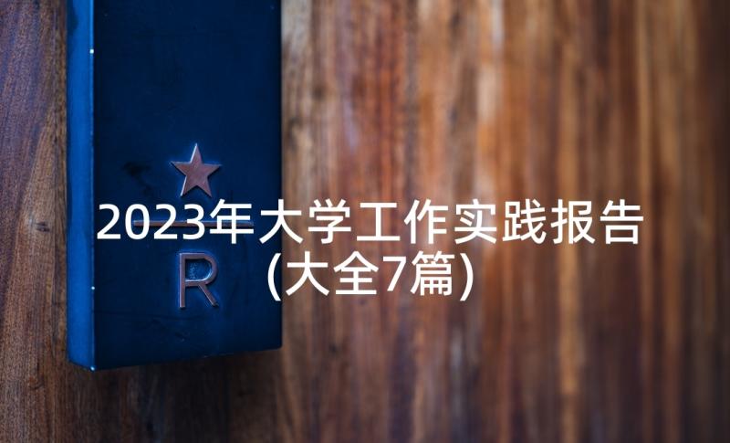 2023年大学工作实践报告(大全7篇)