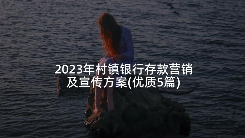 2023年村镇银行存款营销及宣传方案(优质5篇)