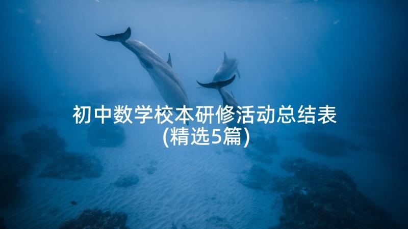 初中数学校本研修活动总结表(精选5篇)