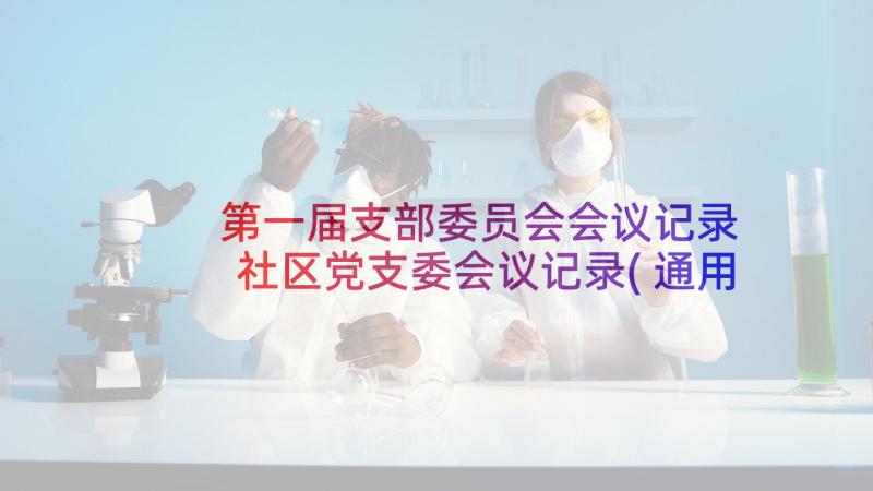 第一届支部委员会会议记录 社区党支委会议记录(通用6篇)